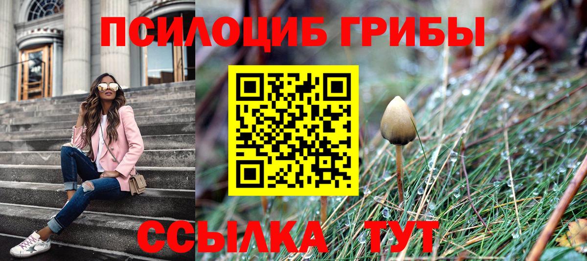 Псилоцибиновые грибы Psilocybe Новый Уренгой