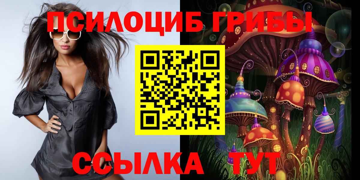 Псилоцибиновые грибы Cubensis  Вход с VPN  где можно купить наркотик  Новый Уренгой 